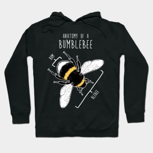 Bumblebee Anatomy Hoodie